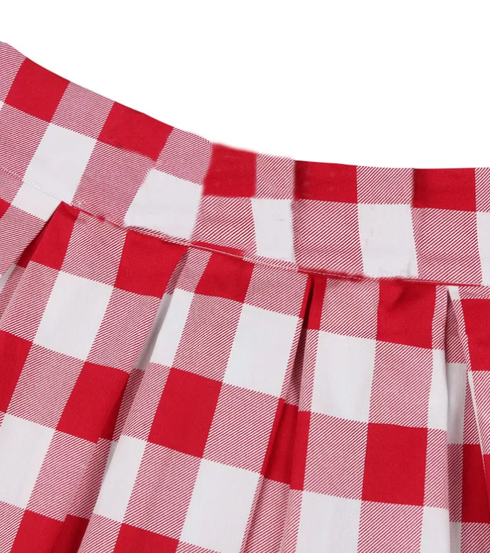 <tc>1950's</tc> Red Vichy Printed Circle Skirt