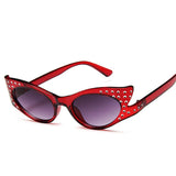 <tr 0>   <tc>L</tc>Studs Cat Eye Sunglasses