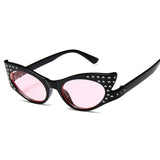 <tr 0>   <tc>L</tc>Studs Cat Eye Sunglasses